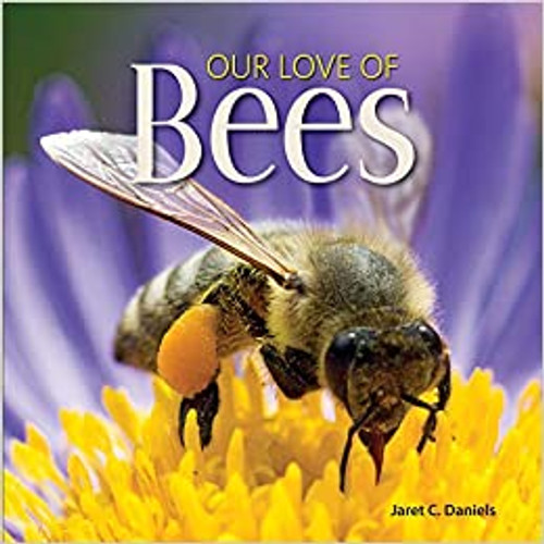 Our Love of Bees