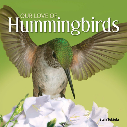 ZZOP_Our Love Of Hummingbirds