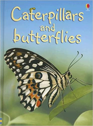 Caterpillars and Butterflies