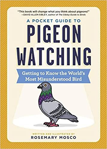 A Pocket Guide to Pigeon Watching Getting to Know the World's Most Misunderstood Bird