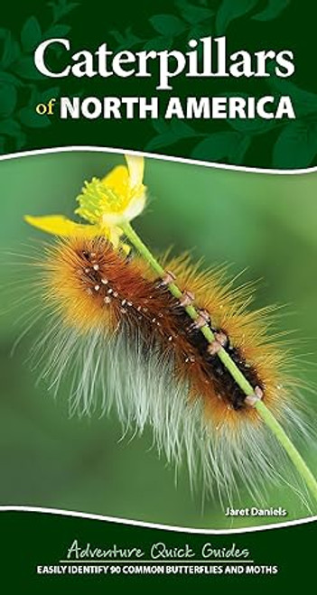 Caterpillars of North America