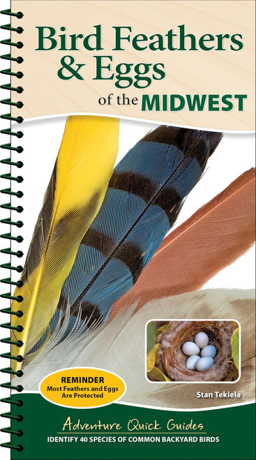 Bird Feathers & Eggs of the Midwest: Adventure Quick Guide