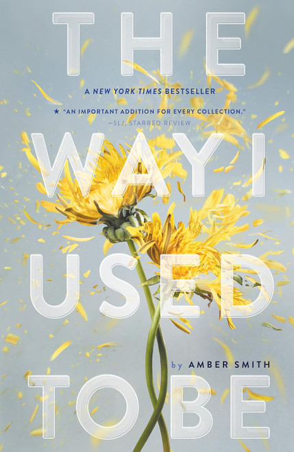 Way I Used to Be #1: The Way I Used to Be