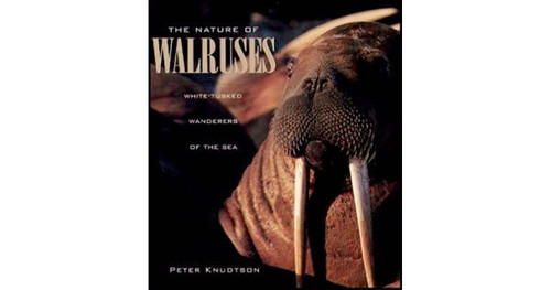 Nature of Walruses, The: White-Tusked Wanderers of the Sea