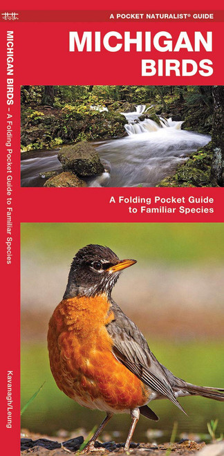 Michigan Birds: A Folding Pocket Guide to Familiar Species