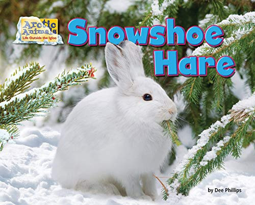Snowshoe Hare - Arctic Animals