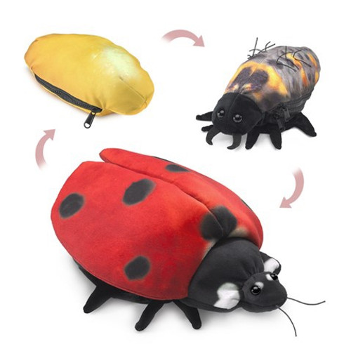 Folkmanis Puppet: Ladybug Life Cycle Folkmanis Puppet: Ladybug Life Cycle