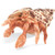 Folkmanis Puppet: Hermit Crab
