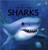 Lift the Flap: Sharks