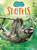 Usborne Beginners: Sloths