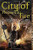 City of Heavenly Fire (Mortal Instruments 6)