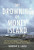 Drowning of Money Island, The