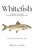 Whitefish: A Journey to Discover the Greatest Fish of the Great Lakes