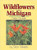 Wildflowers of Michigan Guide