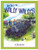 Tale of Willy Willys, The