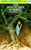 Nancy Drew #33: Witch Tree Symbol