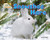 Snowshoe Hare - Arctic Animals