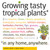 Growing Tasty Tropical Plants in Any Home, Anywhere: (like lemons, limes, citrons, grapefruit, kumquats, sunquats, tahitian oranges, barbados ... black pepper, cinnamon, vanilla, and more...)