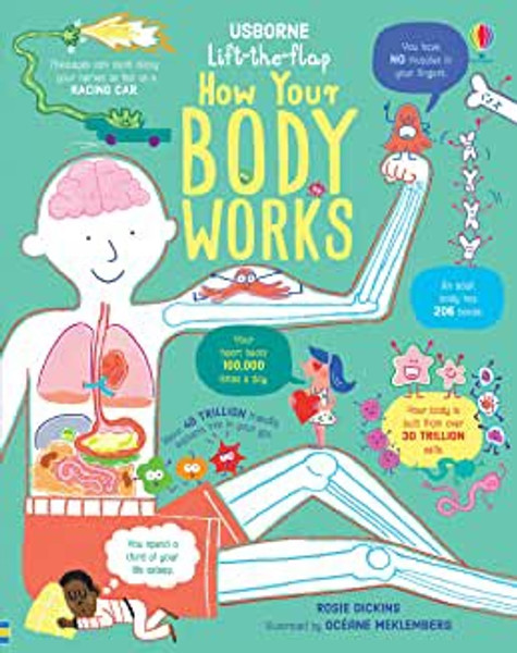 Lift the Flap: How Your Body Works