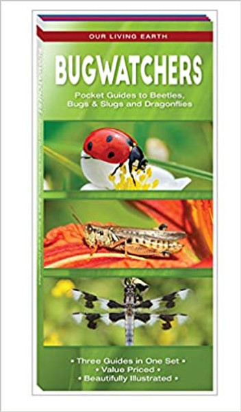 Bugwatchers Pocket Guides