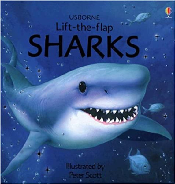 Lift the Flap: Sharks