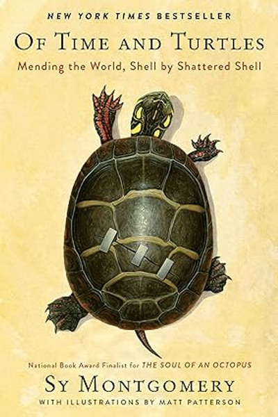 Of Time and Turtles: Mending the World, Shell by Shattered Shell