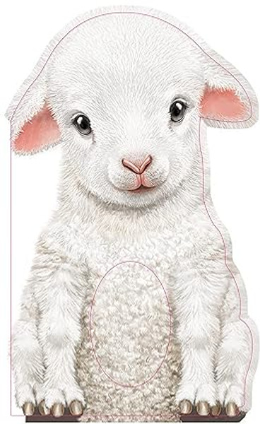 Furry Lamb: A Mini Touch and Feel Book for Babies and Newborns