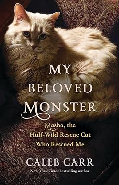 My Beloved Monster: Masha the Half wild rescue cat who rescued me