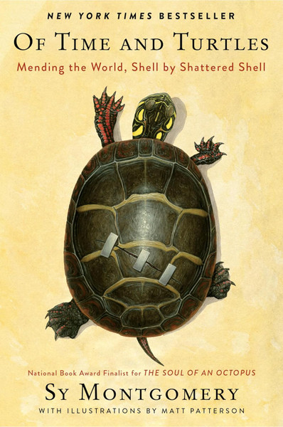 Of Time and Turtles: Mending the World, Shell by Shattered Shell: paperback
