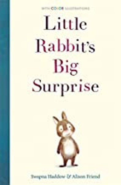 ZZOP_Little Rabbits Big Surprise