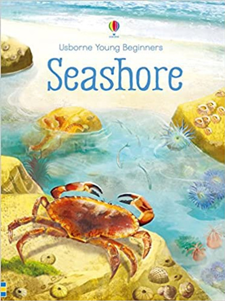 U_Seashore Young Beginner