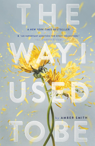 Way I Used to Be #1: The Way I Used to Be