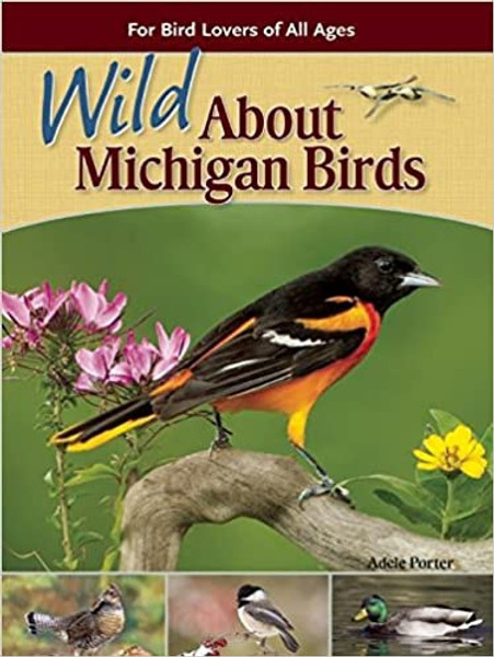 Wild About Michigan Birds Wild About Michigan Birds