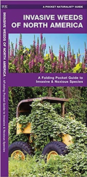 Invasive Weeds Of North America Pocket Guide