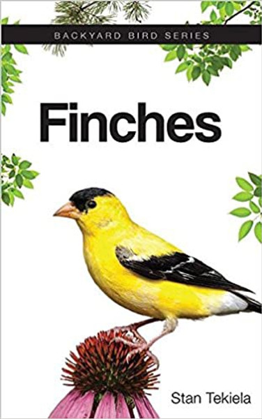 Finches Back Yard Bird Series