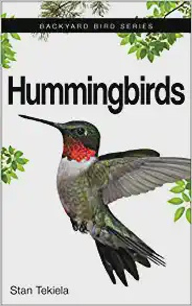 Hummingbirds Backyard Bird