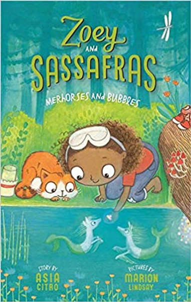 Zoey and Sassafras: Merhorses and Bubbles