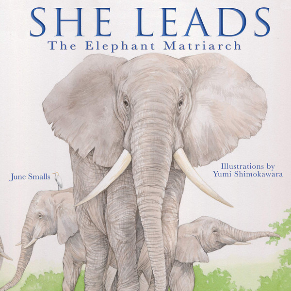 She Leads: The Elephant Matriarchy