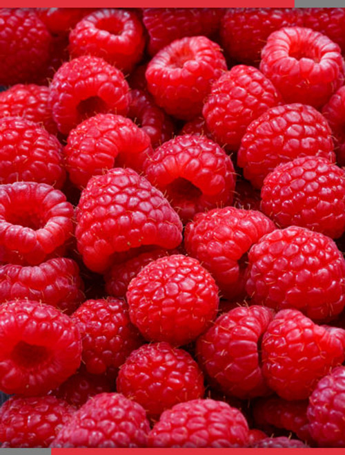 Raspberry Flavoring Raspberry Flavoring