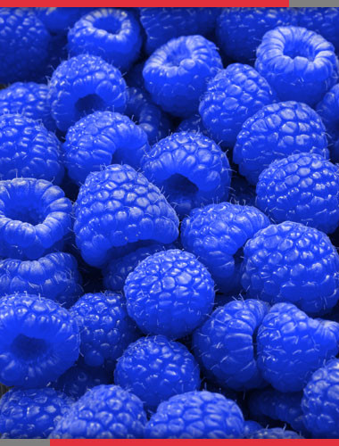 blue raspberry fruit