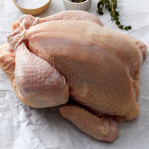Celebration Turkey -- ITEMS-TURK-WFROX-001-PV14365