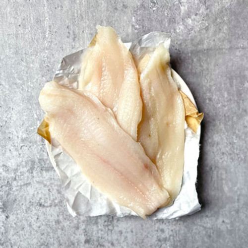 Dabs -- ITEMS-FISH-FDABS-000-PV2619