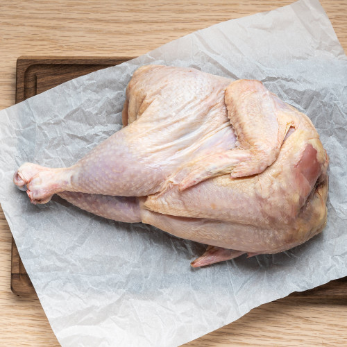 Stock Chickens -- ITEMS-CHIX-STCHX-000-PV2983