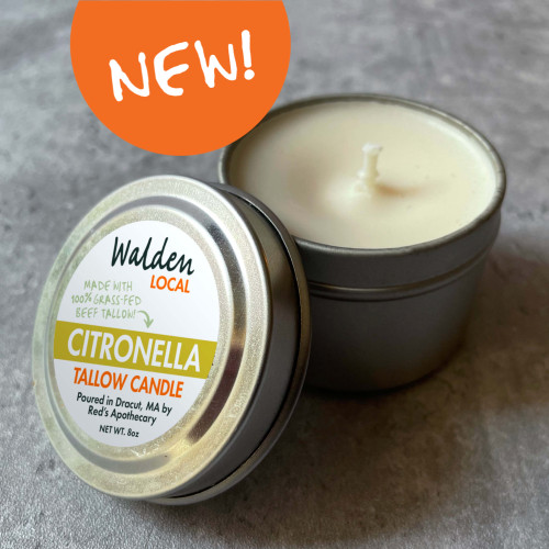 Citronella Tallow Candle -- ITEMS-REDS-CITCN-000-PV3118 Citronella Tallow Candle -- ITEMS-REDS-CITCN-000-PV3118