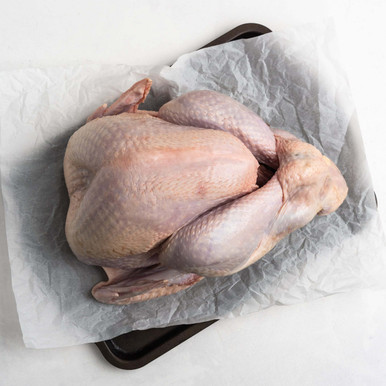 turkey
