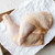 FREE Chicken Legs -- ITEMS-CHIX-FRECL-000-PV10275