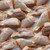 Chicken Drumsticks