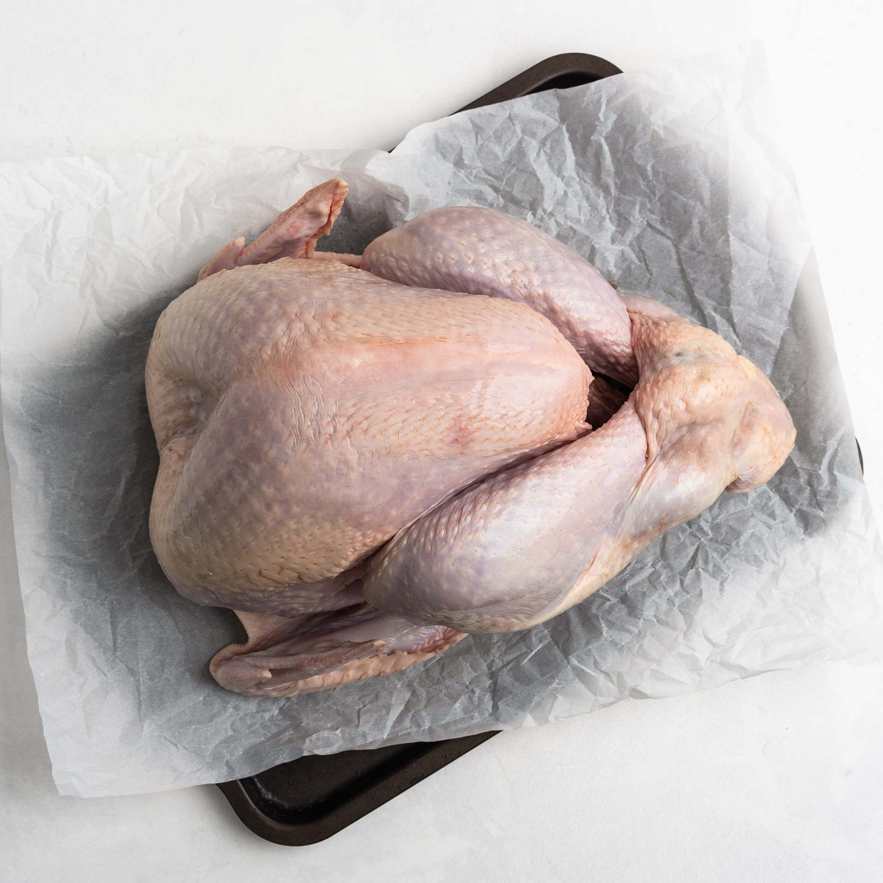 turkey