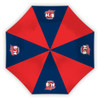 Sydney Roosters Umbrella Compact