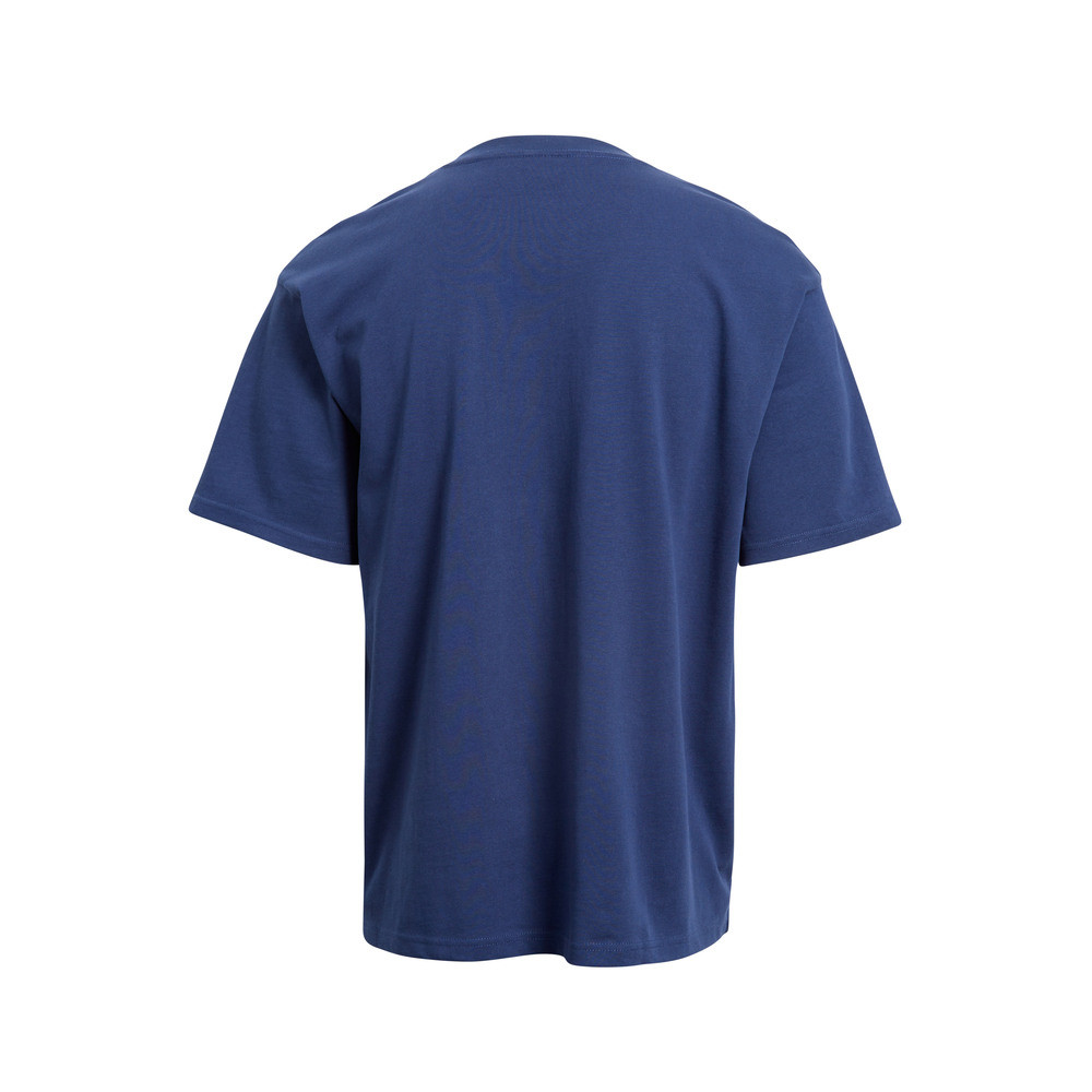 Sydney Roosters 2025 Bleacher Adults Embroidered Logo Tee Roosters Shop